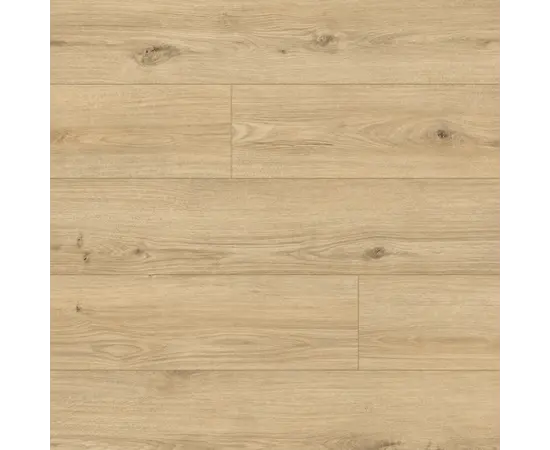 Classen Legacy дуб Asti