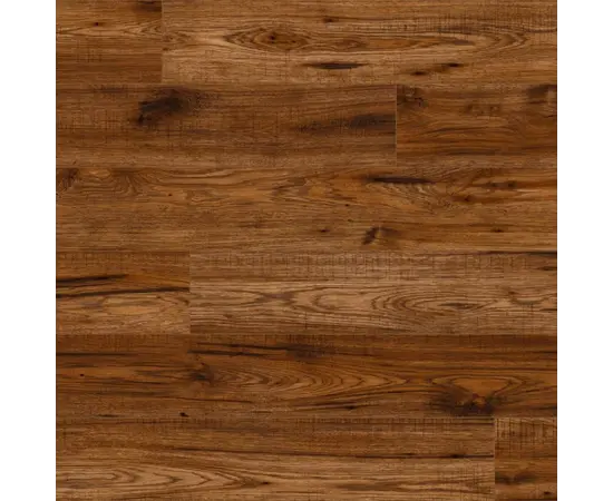 Kaindl NT Hickory Georgia