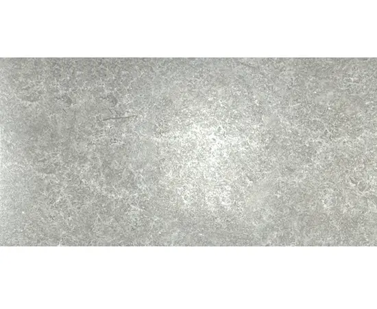 Porcelain tile Halcon Ceramicas P REX GRIS PRI